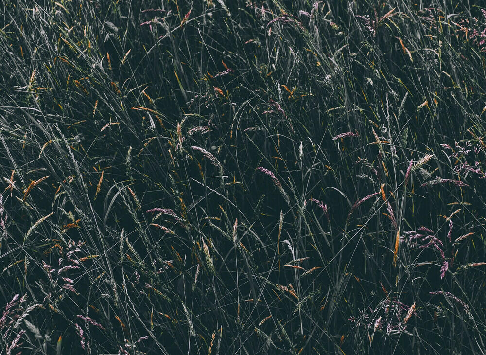 blocks-image-194 (Demo)